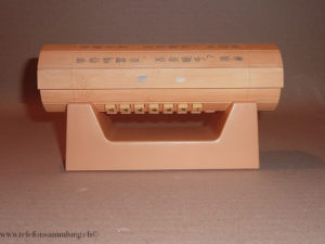 Chinese Bamboo Style