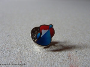 Pin Swisscom Signet